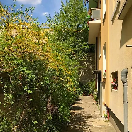 Apartment Angel